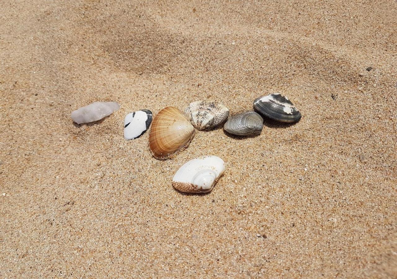 固城Seaside Minbak别墅 外观 照片